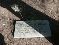James Alison Adams 