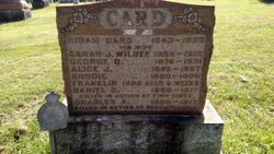 Sarah Jane <I>Wilbee</I> Card 