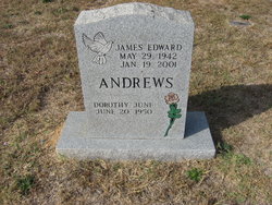 James Edward Andrews 