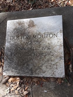 Dolton Mouton 