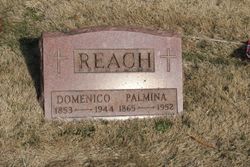 Domenico Reach 