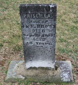Priscilla Brown 