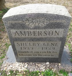 Shelby Gene Amberson 