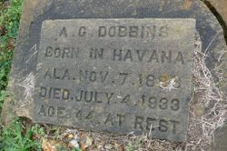 A. G. Dobbins 