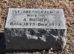 Elizabeth “Nellie” <I>Palmer</I> Bugher 
