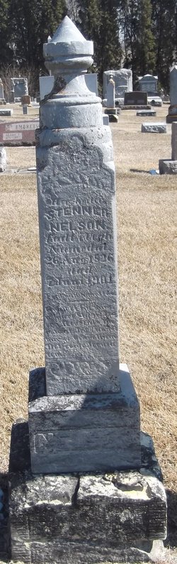 Stenner Nelson 