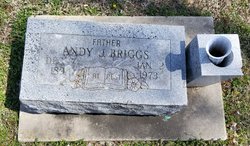 Andrew Jackson “Andy” Briggs 