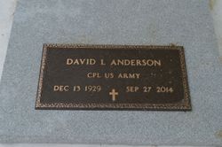 David L Anderson 