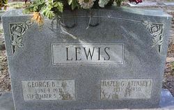 George B Lewis Jr.