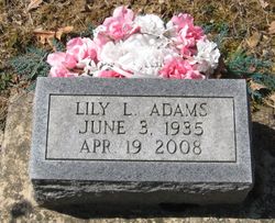 Lily L Adams 