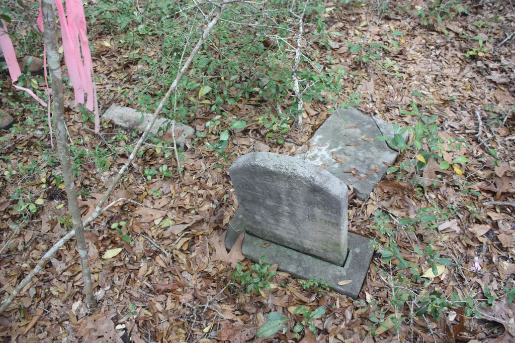 Willie Fulwood Slave Cemetery