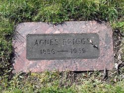 Agnes Delphine <I>Smith</I> Briggs 