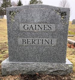 Albert E. Bertini Jr.