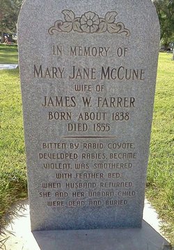 Martha Jane “Mary” <I>McEwen</I> Farrer 