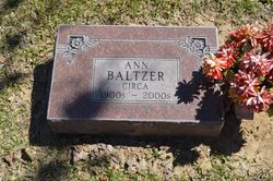 Ann Baltzer 