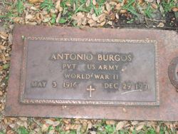 Antonio Burgos 