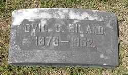 Ovid Celdin Eiland 