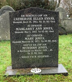 Catherine Ellen <I>Jones</I> Evans 