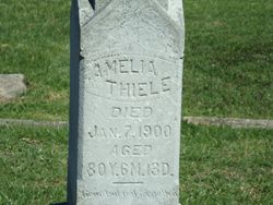 Amelia Lipmer <I>Fiffener</I> Thiele 