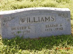 Elijah Alexander Williams 