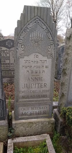 Annie Jupiter 