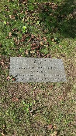 David Blumenfield 