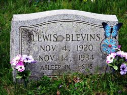 Lewis Blevins 