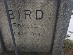 Edward Bird 