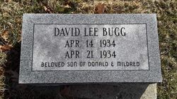 David Lee Bugg 