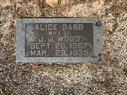 Georgia Ann Alice <I>Babb</I> Wood 