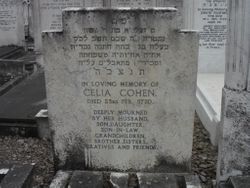 Celia Cohen 