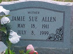 Jamie Sue <I>Sloane</I> Allen 