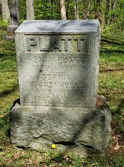 Henry Platt 