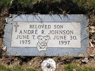 Andre R Johnson 