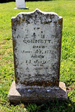 A. E. Cornett 