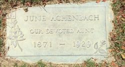 June E. Achenbach 