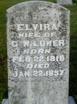 Elvira <I>Carter</I> Lower 