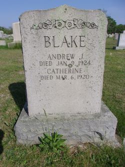 Andrew J. Blake 