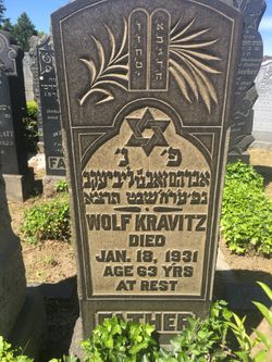 Wolf Kravitz 