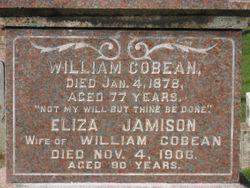 Elizabeth “Eliza” <I>Jamison</I> Cobean 