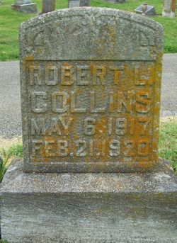 Robert G Collins 