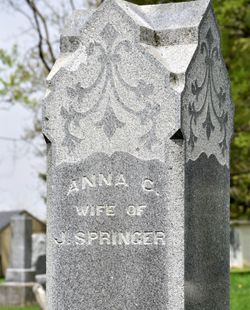 Anna Catherine “Annie” <I>Widdekin</I> Springer 