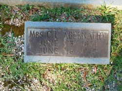 Mrs C. L. Abernathy 