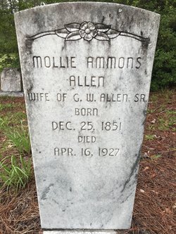 Mary “Mollie” <I>Ammons</I> Allen 