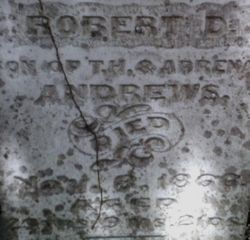 Robert D. Andrews 