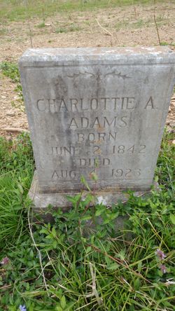 Charlottie A. <I>Tucker</I> Adams 