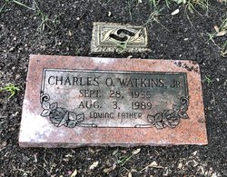 Charles O. Watkins Jr.