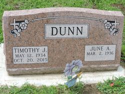 Timothy J Dunn 