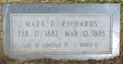 Mark D Richards 