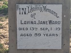 Lavina Jane Ward 